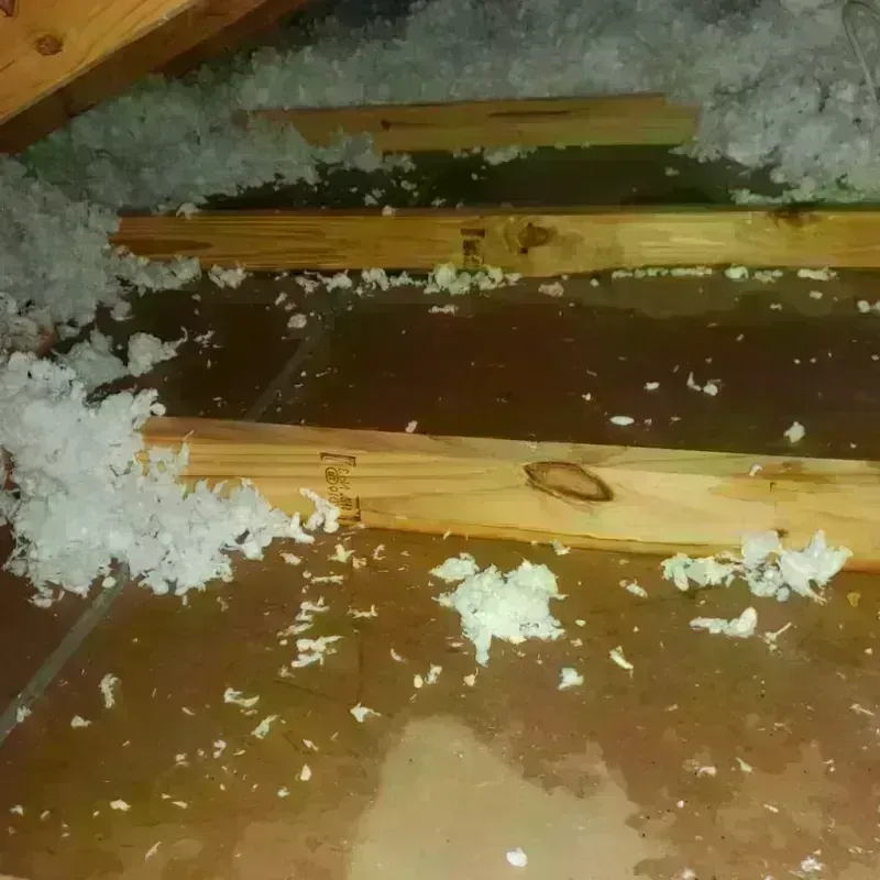 Attic Water Damage in Gallia County, OH