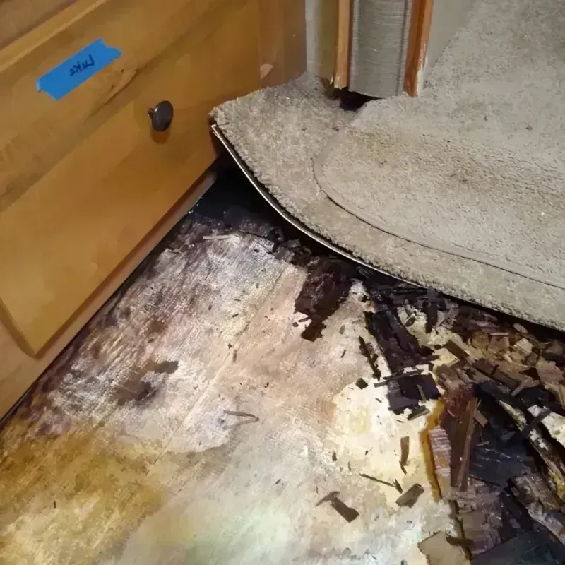 Best Wood Floor Water Damage Service in Gallia County, OH